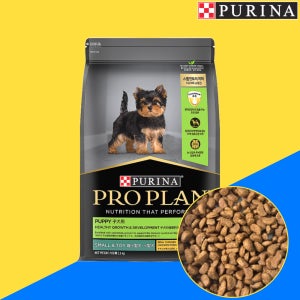 Purina 프로플랜 퍼피 스몰&토이 브리드