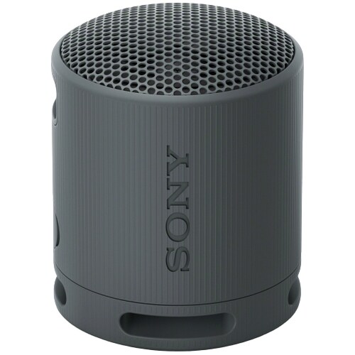 Sony SRS-XB100