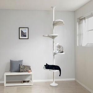 야옹이네 타워킹