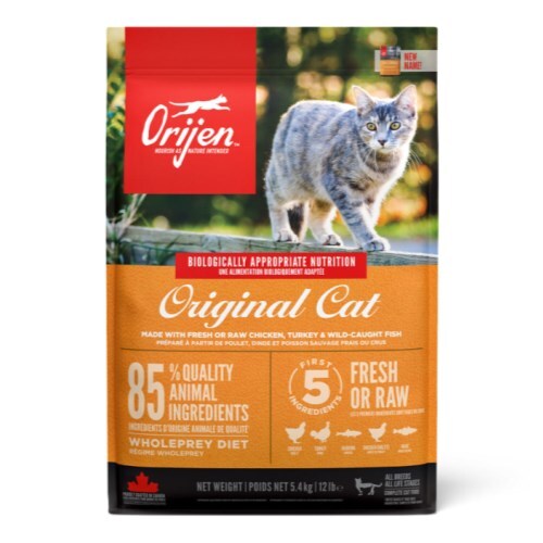 오리젠 오리지널