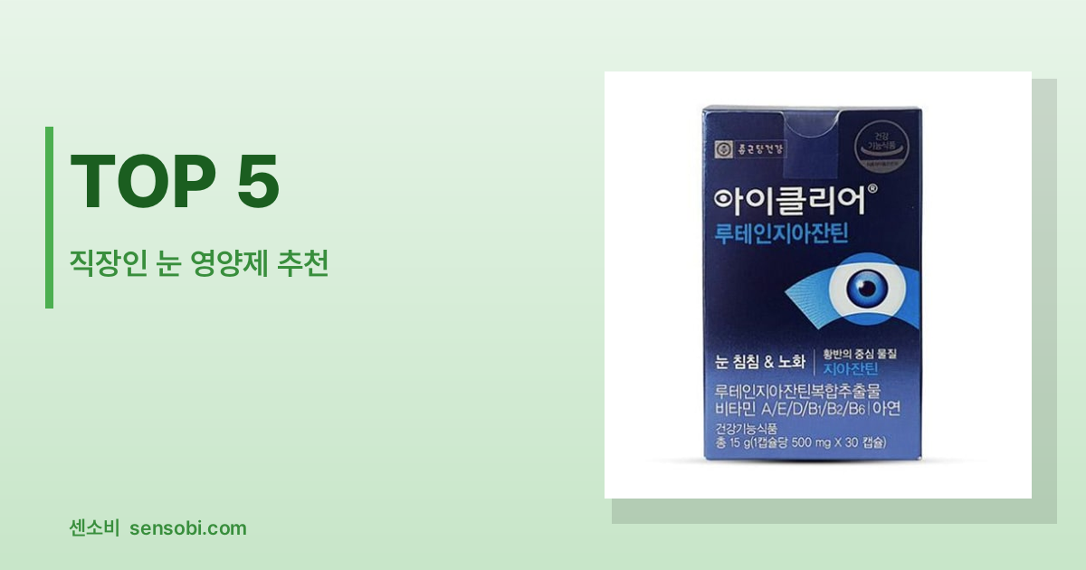 직장인 눈 영양제 추천 TOP 5 — 루테인 함량 속지 말고 이것만 보세요
